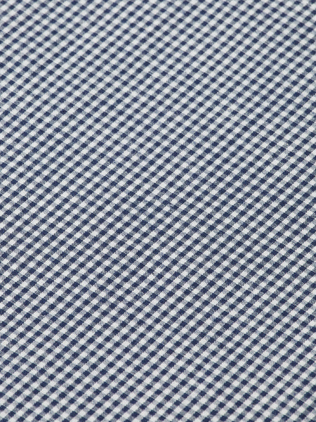 Regular Fit Peacoat Mini Check Poplin Shirt