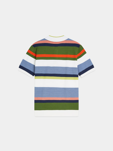 Multi Colored Striped Polo