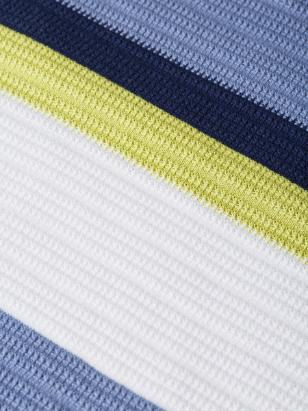 Multi Colored Striped Polo